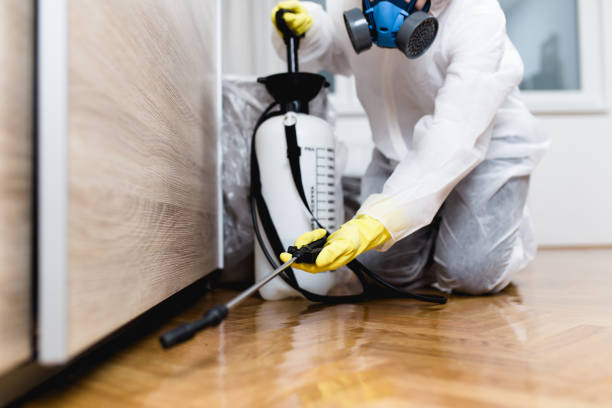 Best Pest Inspection Near Me  in Ludington, MI