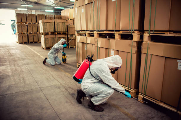 Best Cockroach Control Services  in Ludington, MI