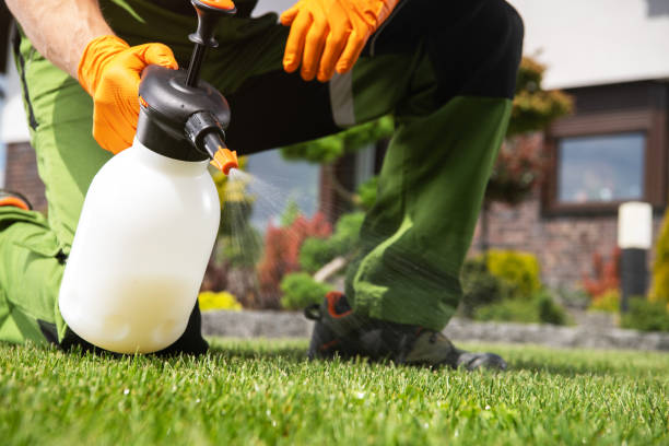 Best Emergency Pest Control  in Ludington, MI