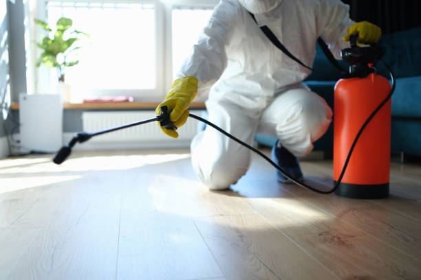 Flea Control Services in Ludington, MI