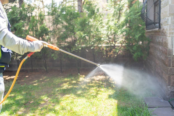 Best Wasp Removal Services  in Ludington, MI