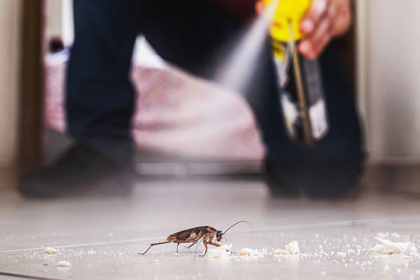 Best Exterminator Services  in Ludington, MI