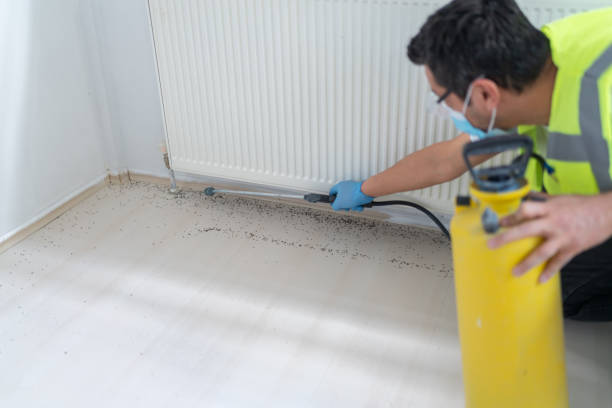 Best Local Pest Control Services  in Ludington, MI