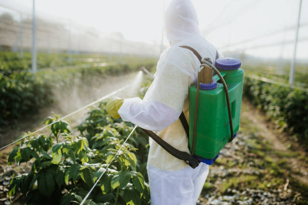 Best Pest Prevention Services  in Ludington, MI